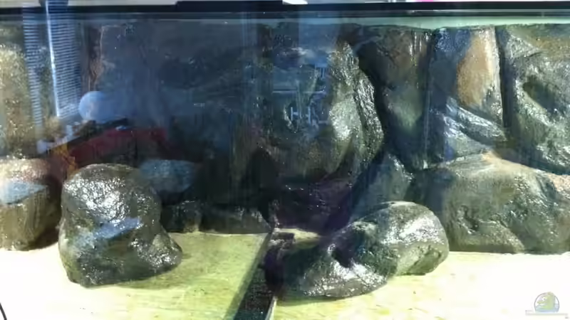 Bodensteine und Rw fertig versiegelt und eingeklebt von Dynnarts (16)