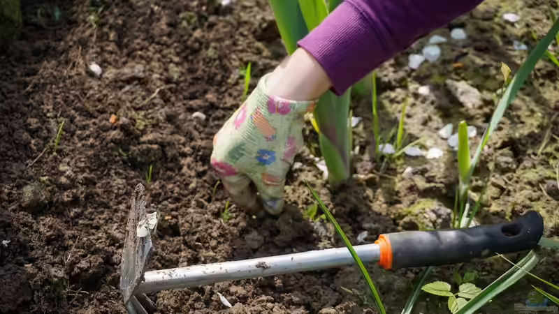 Bodenverbesserung im Frühling: Mehr Wasser speichern und gezielt nutzen