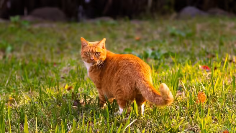 Bodenverbesserung im Frühling: Mehr Wasser speichern und gezielt nutzen