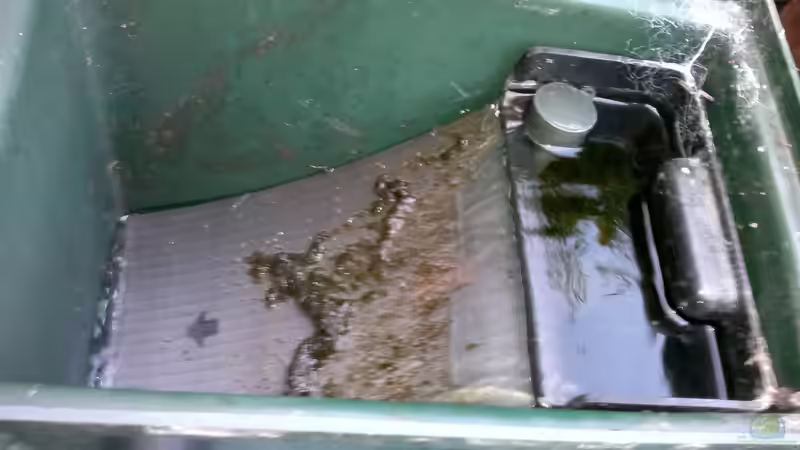 Bogensieb im Einsatz (im Einlaufschacht schwimmt das Teichtermometer) von Sambia (47)