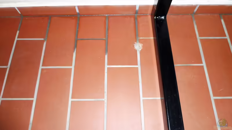 Bohrung zu Brunnen im Keller von Lippi (14)