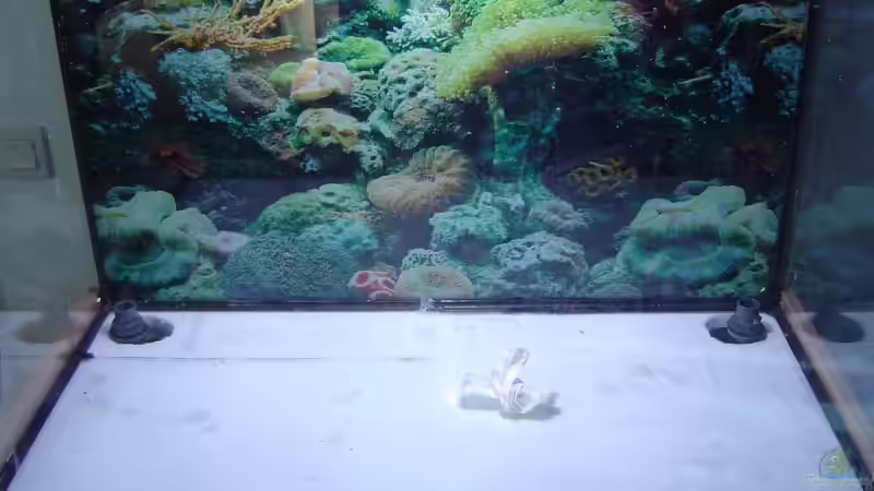 Bohrungen links/rechts für das Filterbecken von Christian Schröter (3)