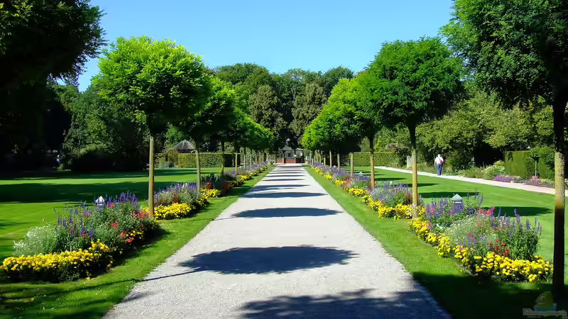 Botanischer Garten Augsburg - Natur erleben, Vielfalt entdecken und Inspiration finden