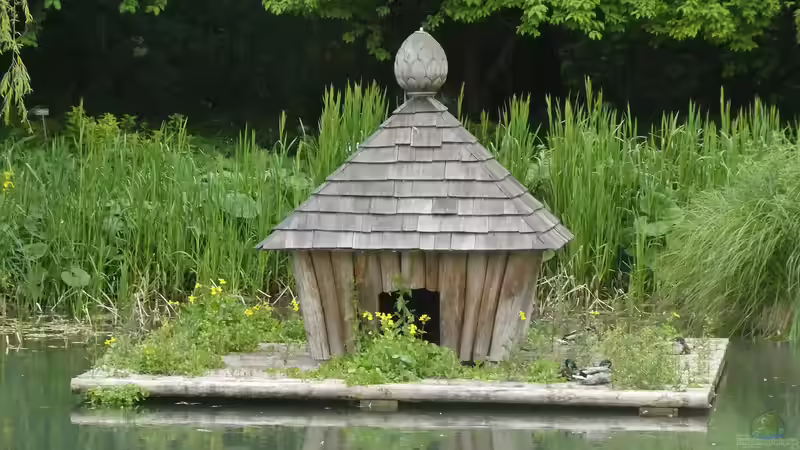 Botanischer Garten Augsburg - Natur erleben, Vielfalt entdecken und Inspiration finden