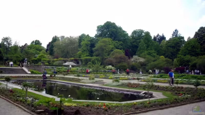 Botanischer Garten München -Aus Sicht einer Aquarianerin! Teil I