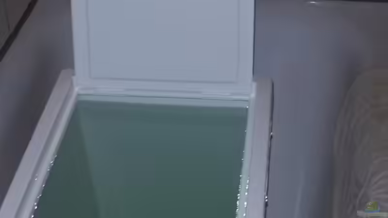 Box für den Umbau Feb-März  von Gunnar2060 (51)