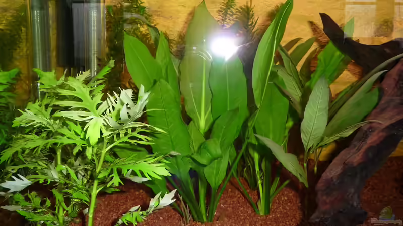 Brauche bitte Hilfe beim identifizieren von Helmut Stallhofer (4)