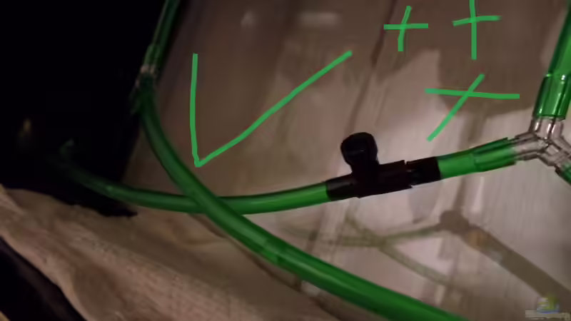 "Braunes Gold" von raubsau