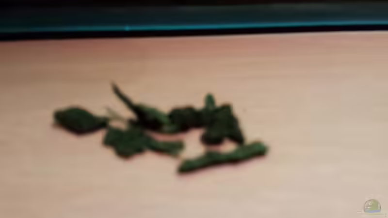 Brennesel Stix von Aqua (5)