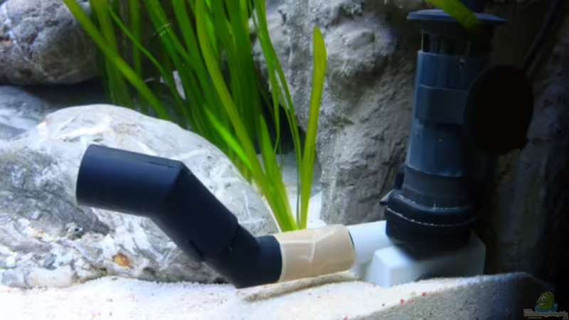 bringt Strömung ins Spiel von wadde (25)