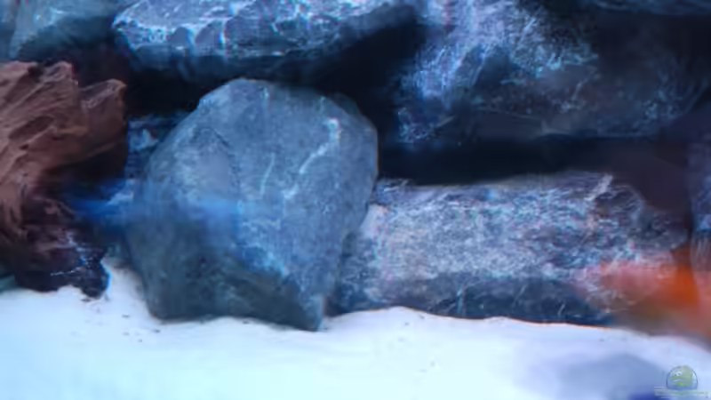 Bruchgestein von Calimero (6)