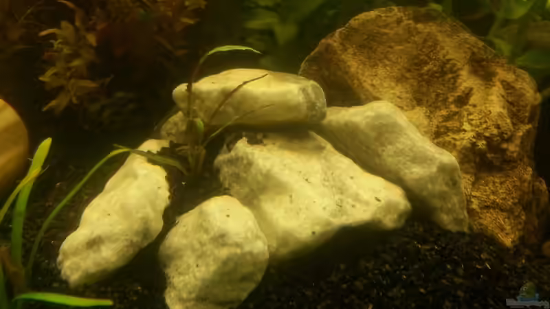 Bruchsteine Donaublau von Robert Sakautzky (19)