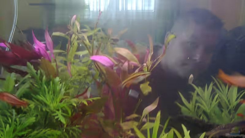 Bruder im Hintergrund ignorieren,der war neugierig von Katerina Schöbella (9)