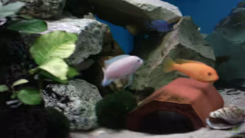 bruder und schwester,vater im fischhimmel von Heiko Schipke (8)