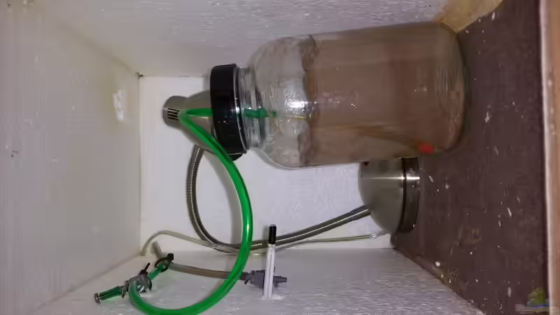 Brutkasten  verdreht. ..tss von foxi (6)