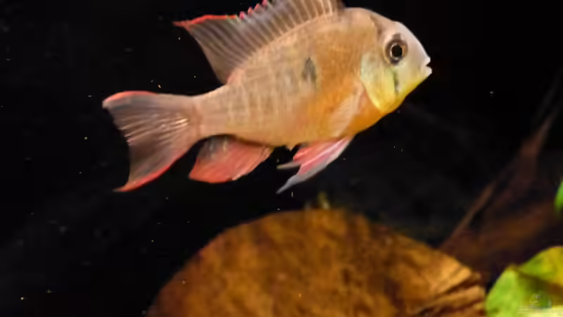 BSBB 07.01.12 von ~Marco~ (52)