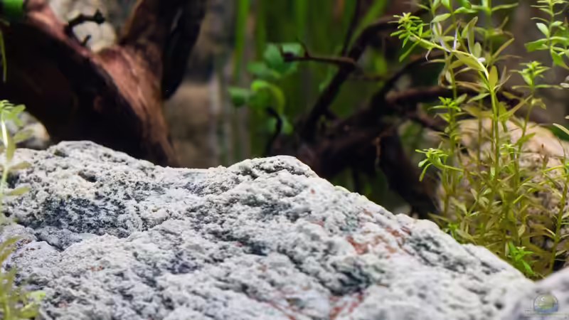 BTN Bodenmodul Detail von GoreSlayer (46)