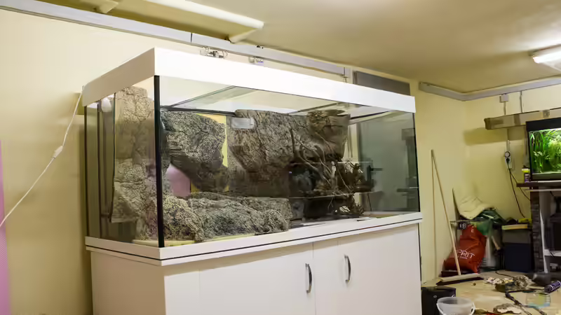 BTN Einbringung Teil3 von GoreSlayer (8)