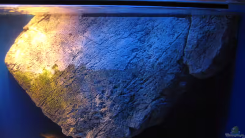 BTN Module von Simmal (7)