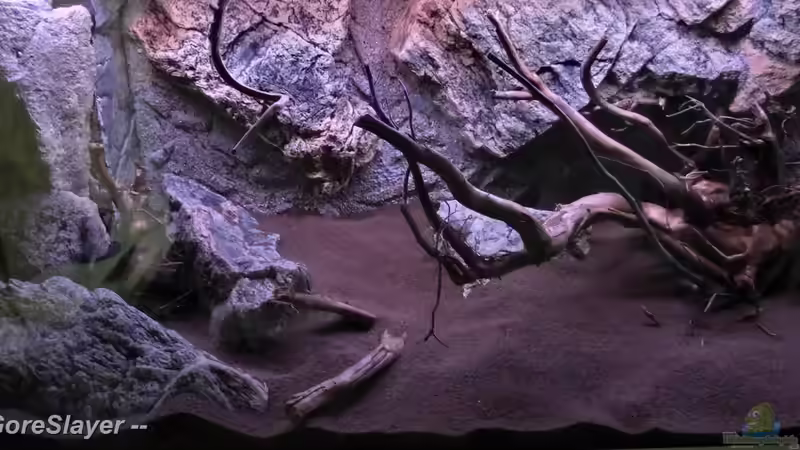 BTN Rückwand- Beckengestaltung ???Erfahrungsberichte - Tipps & Tricks???