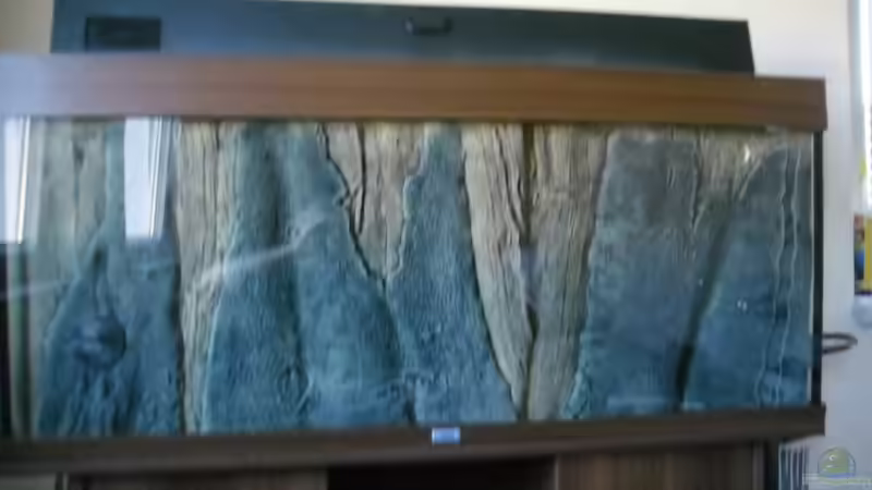 BTN Rückwand Amazonas von Ruppinho (2)