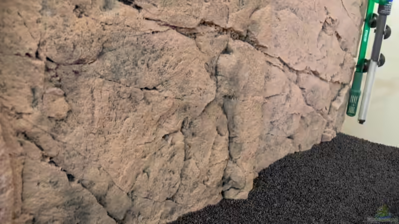 BTN Rückwand von Stefan Reinl (2)