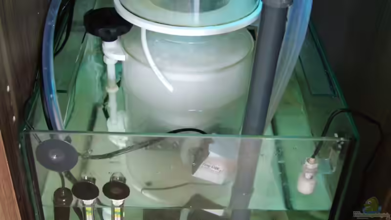 BubbleMaster :) von .uschi (32)