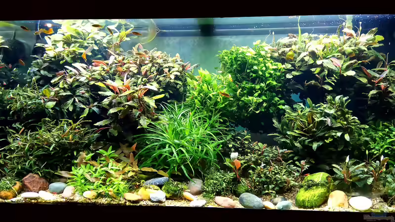 BucenWorld von Volkmar1 (1)