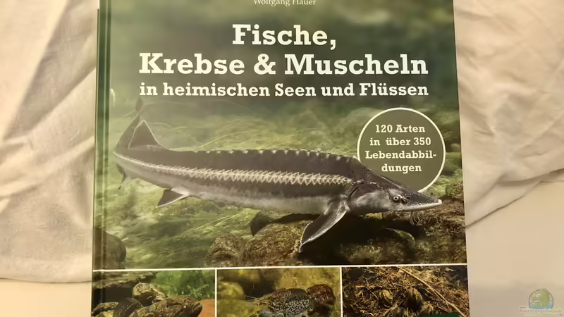 Buch-Vorstellung ???Fische, Krebse & Muscheln in heimischen Seen und Flüssen???
