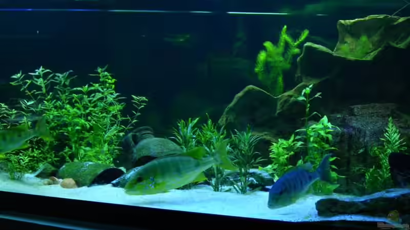 Büro 10/2010 von buschen-stahl.de (7)