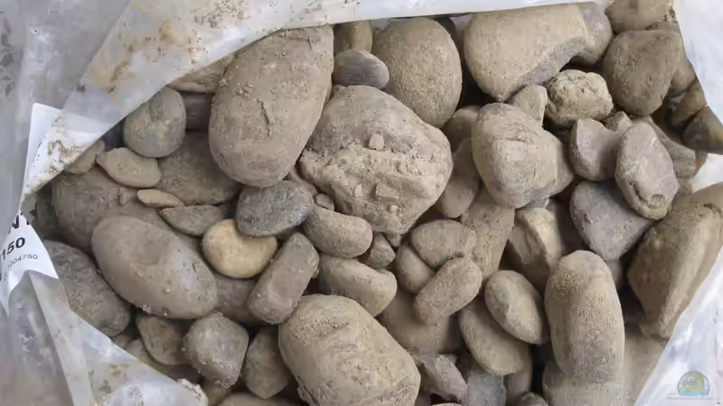 ´bunter´ Flusskiesel aus dem Baumarkt von Nico NK (15)