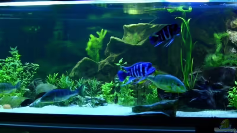 Buschen-Stahl Ansicht vom Büro von buschen-stahl.de (1)