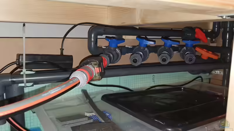 Bypässe AWAB von Steven Tumma (19)