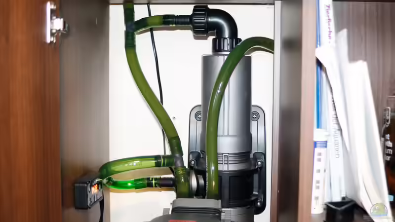 Bypass mit UV-C Klärer von aquariumwelt (9)