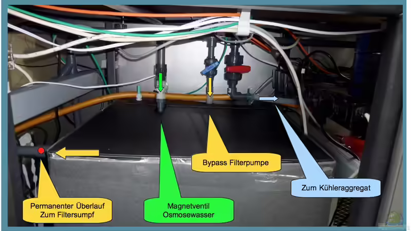 Bypass-Tank kurz erklärt von OldFriend (22)