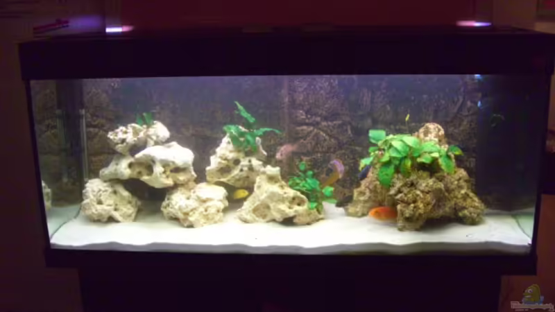 C:Dokumente und EinstellungenFamilie GünzlLokale EinstellungenTemporary Internet von Oliver Günzl (1)