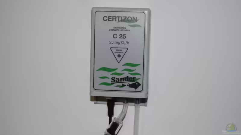 C25 von Junglist (19)