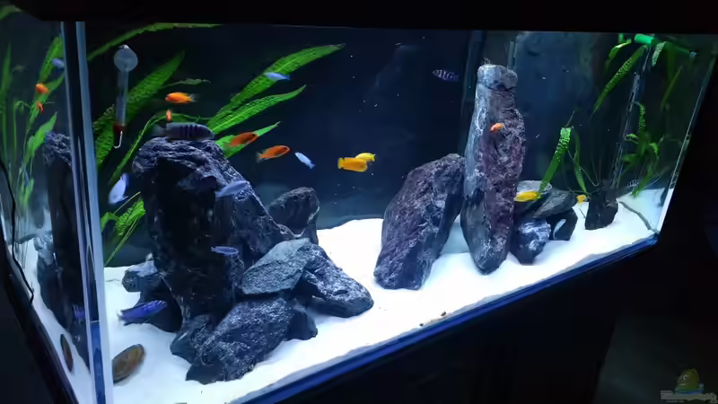 ca. 2015 von nadja9500 (10)