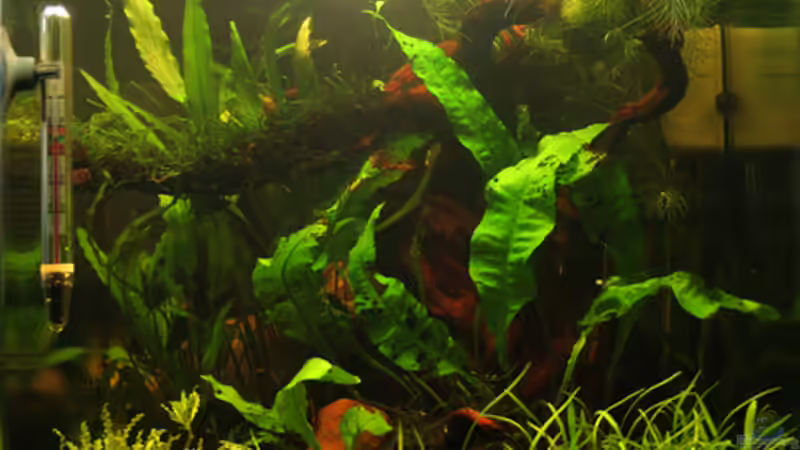 ca. 40 Tage von gezina (5)