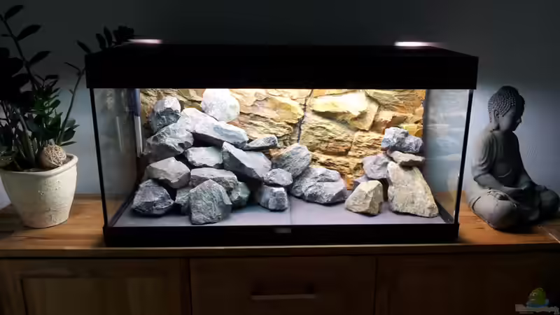 Ca. 40kg Flußgestein von Martin N. (4)