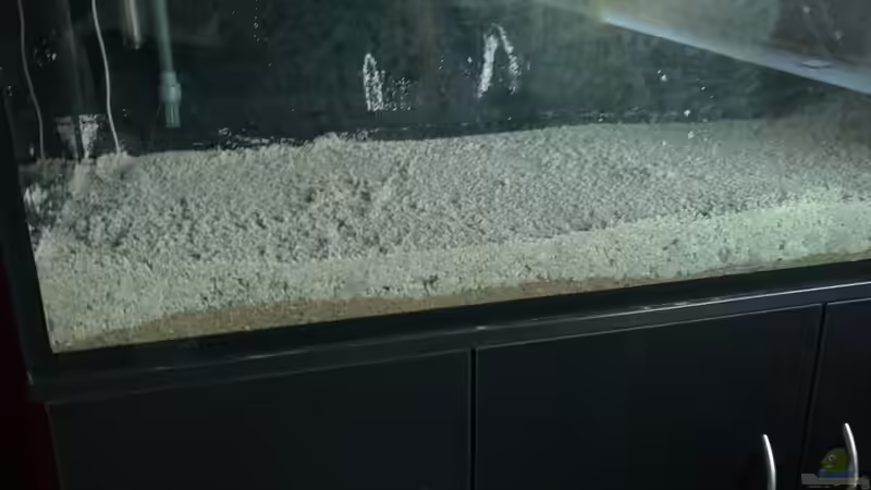 ca. 40Kg Zoo Aquariensand über Dennerle Depont Mix von Pipp Amerika (4)