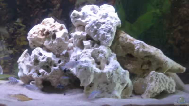 ca. 7kg Lochgestein von am1482 (3)