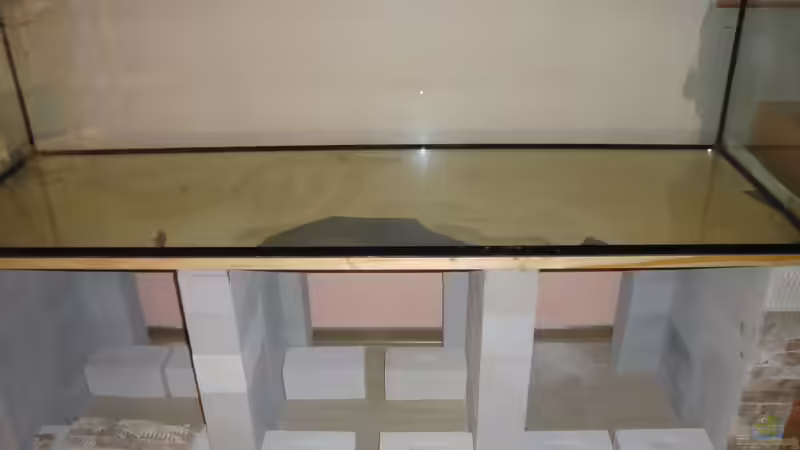 ca 84 D2 vollsteine von Stefan Hülsmann (3)