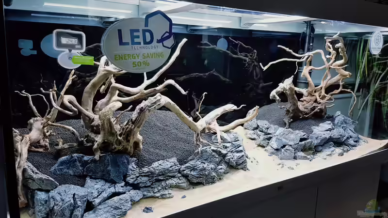 Cal Aqua Labs Black Earth Premium Soil eingebracht... von Köllebärbling (17)