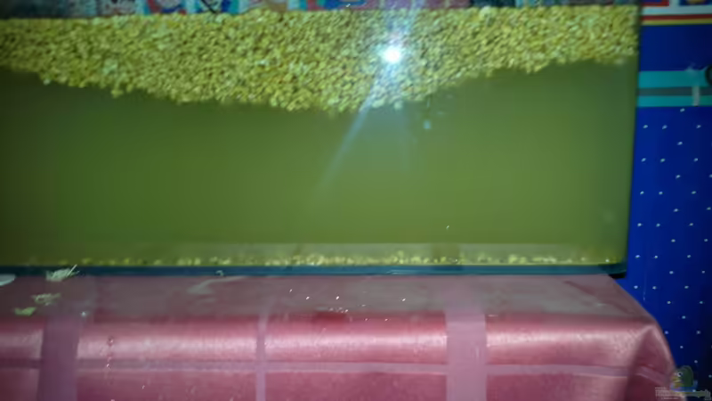 Caldrà esperar a que precipiti von lomarraco (62)