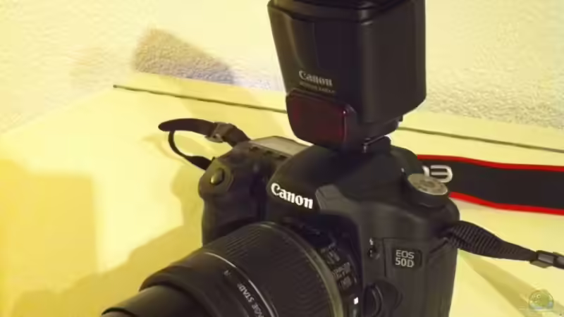 Canon EOS 50 D von Michael Reiz (49)