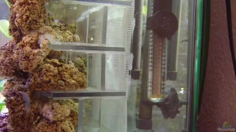 Carbo Plus, Heizstab und Ansauger.. von Thomas Kuban (19)