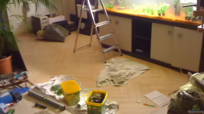 Chaos !!! von Zork-Nemesis (10)