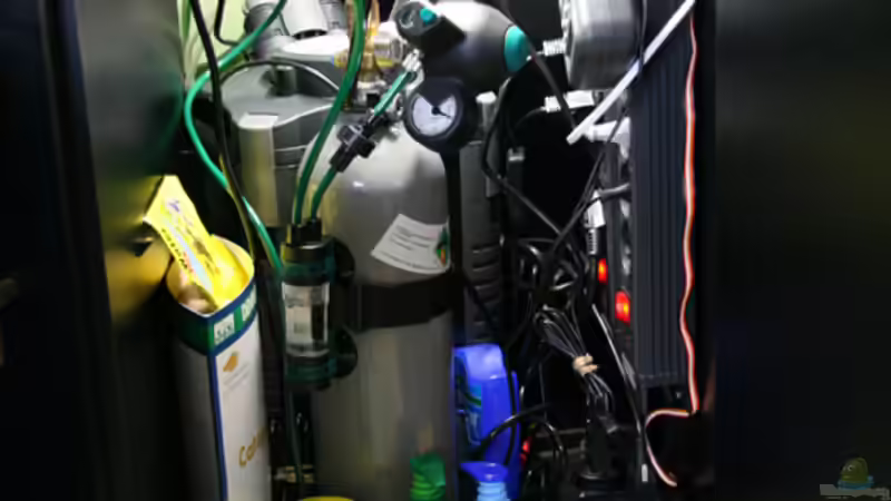 Chaos mit System ... von Oli M. (8)