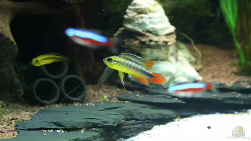 ´Charly´ und einer seiner Engel von Christian Grunwald (1)